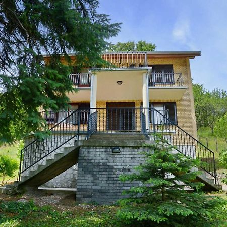 Zoja Apartment Vrdnik Bagian luar foto