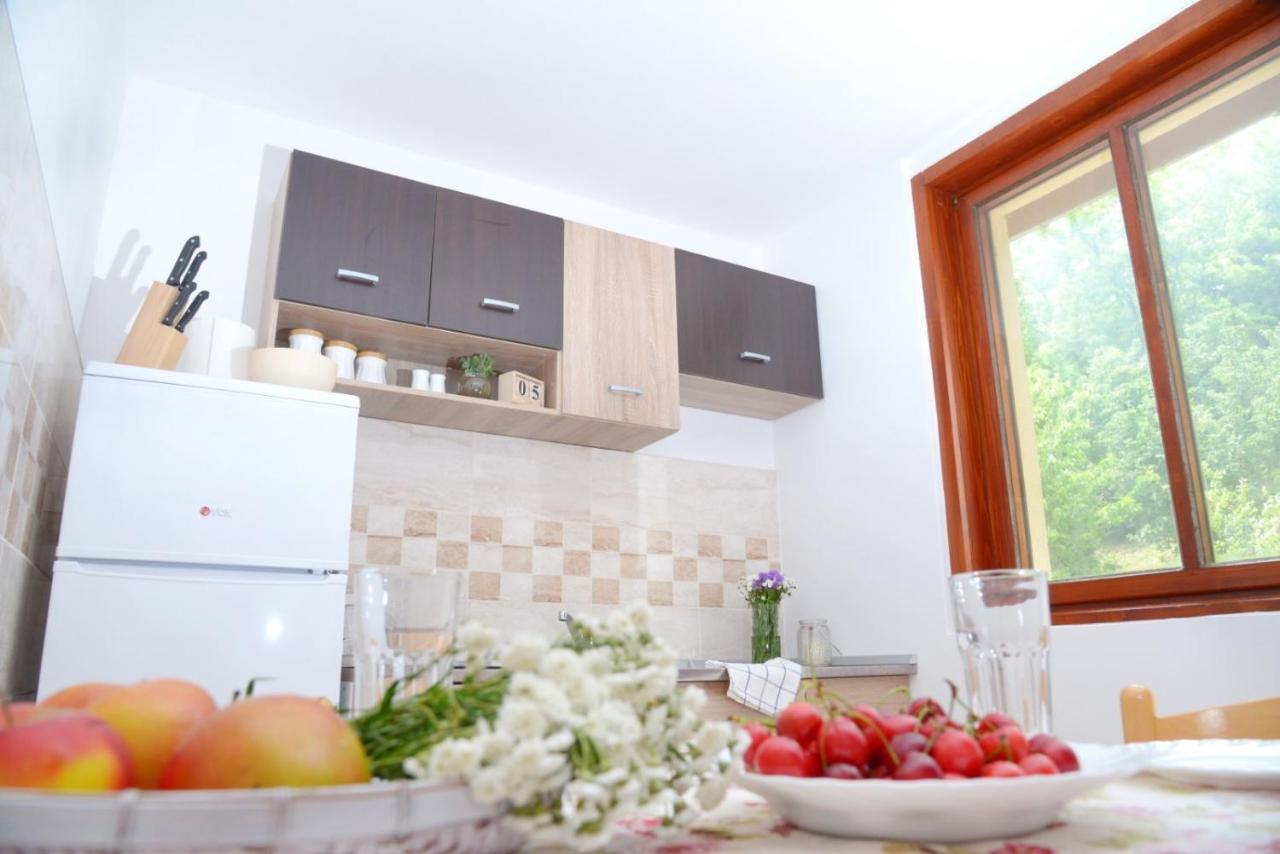 Zoja Apartment Vrdnik Bagian luar foto