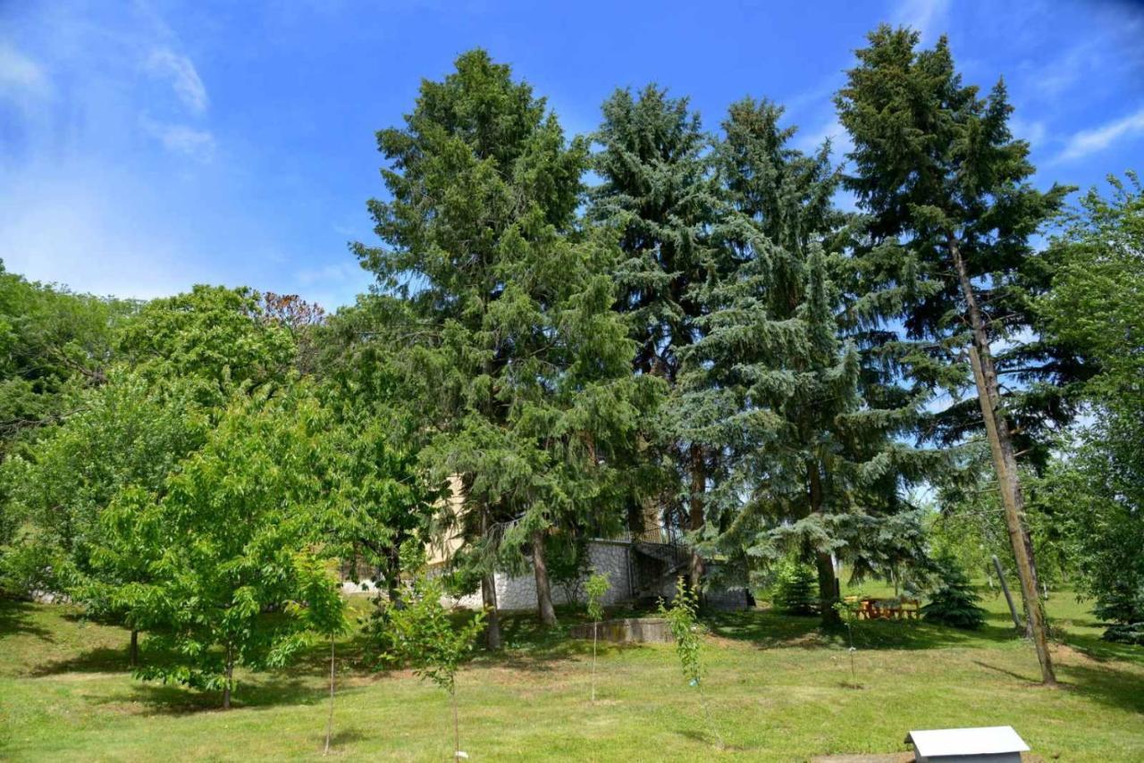 Zoja Apartment Vrdnik Bagian luar foto