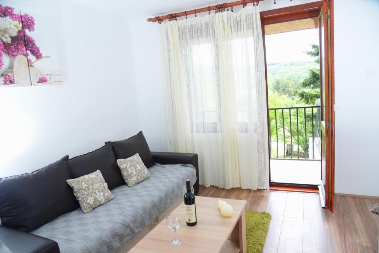 Zoja Apartment Vrdnik Bagian luar foto